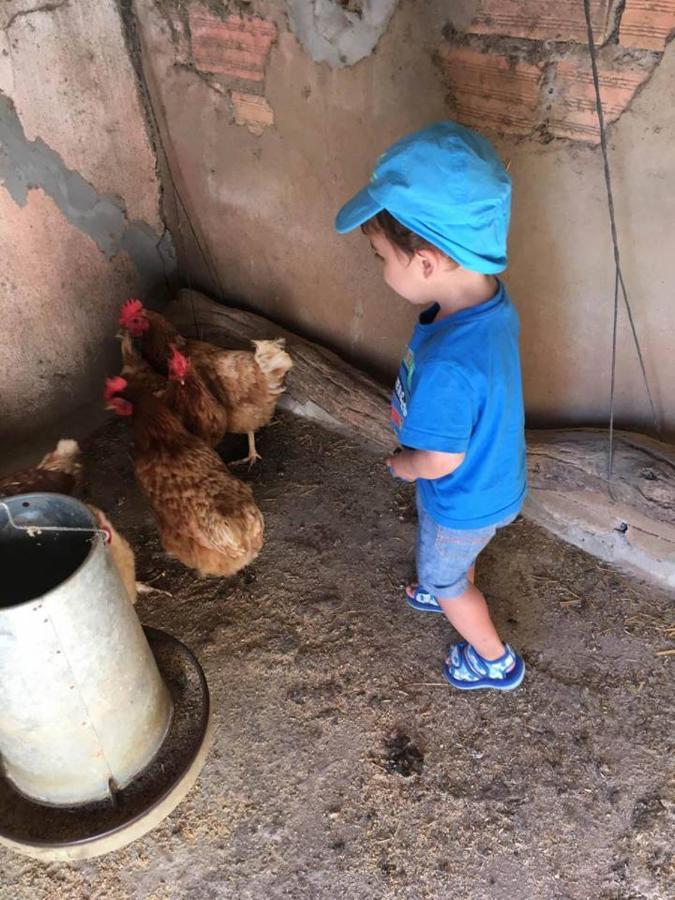 קוניל דה לה פרונטרה Casa Rural-Granja מראה חיצוני תמונה