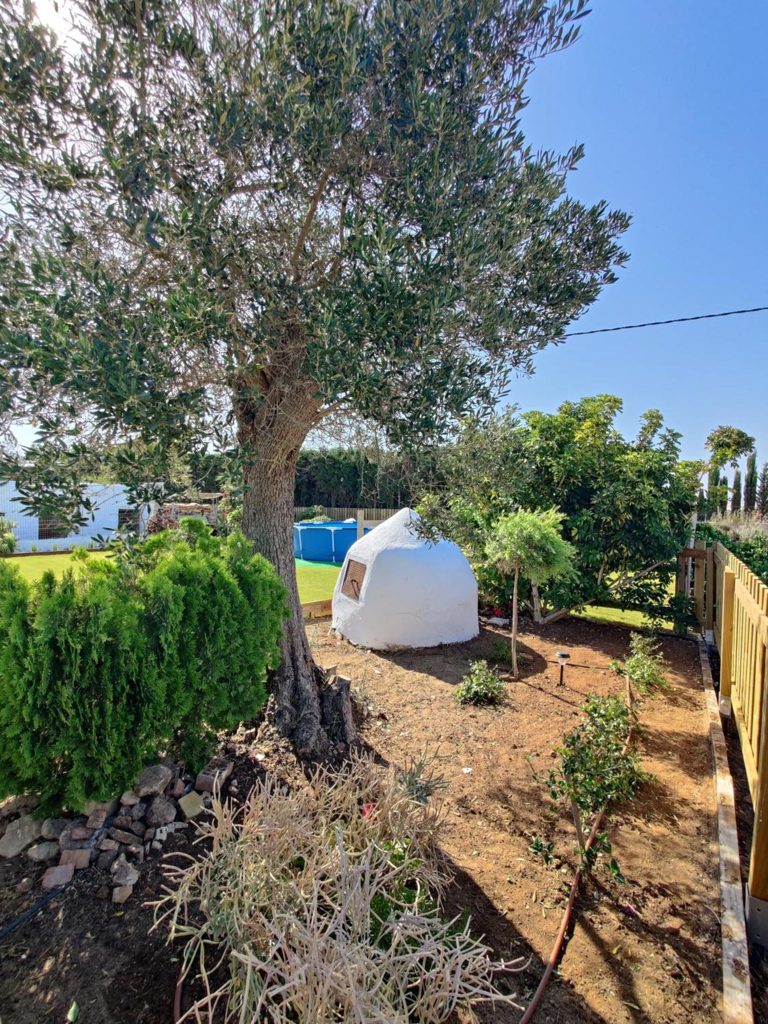 קוניל דה לה פרונטרה Casa Rural-Granja מראה חיצוני תמונה